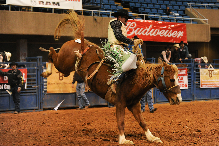 PCA Rodeo Finals