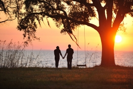 Engagement Sessions