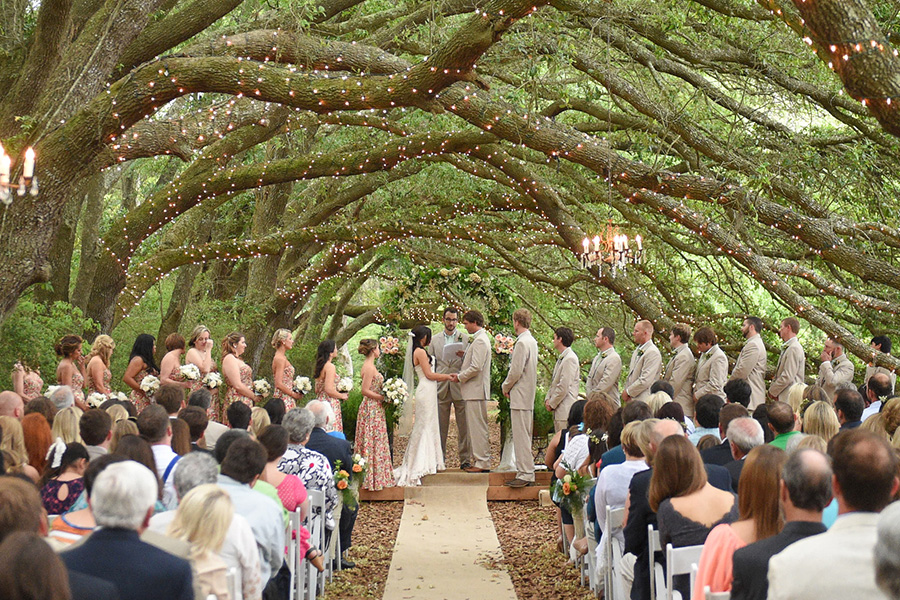 oak hollow farm fairhope alabama wedding