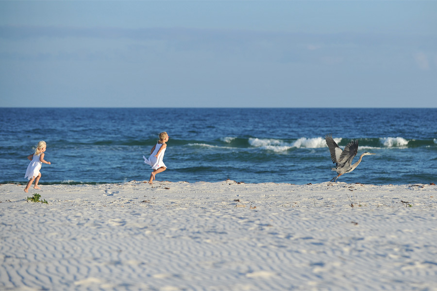 perdido key photographer